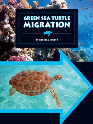 cover image of Green Sea Turtle Migration